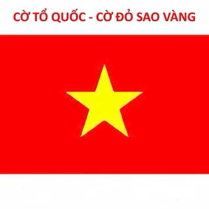 Cờ Tổ Quốc, Cờ Đỏ Sao Vàng Việt Nam, Cờ Đảng Vải Phi Bóng Nhiều Kích Thước, Cờ chuẩn Tỉ lệ