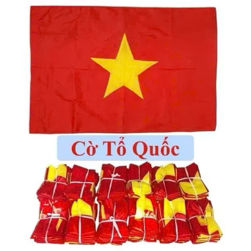 Cờ Tổ Quốc, Cờ Đỏ Sao Vàng Việt Nam, Cờ Đảng Vải Phi Bóng Nhiều Kích Thước, Cờ chuẩn Tỉ lệ