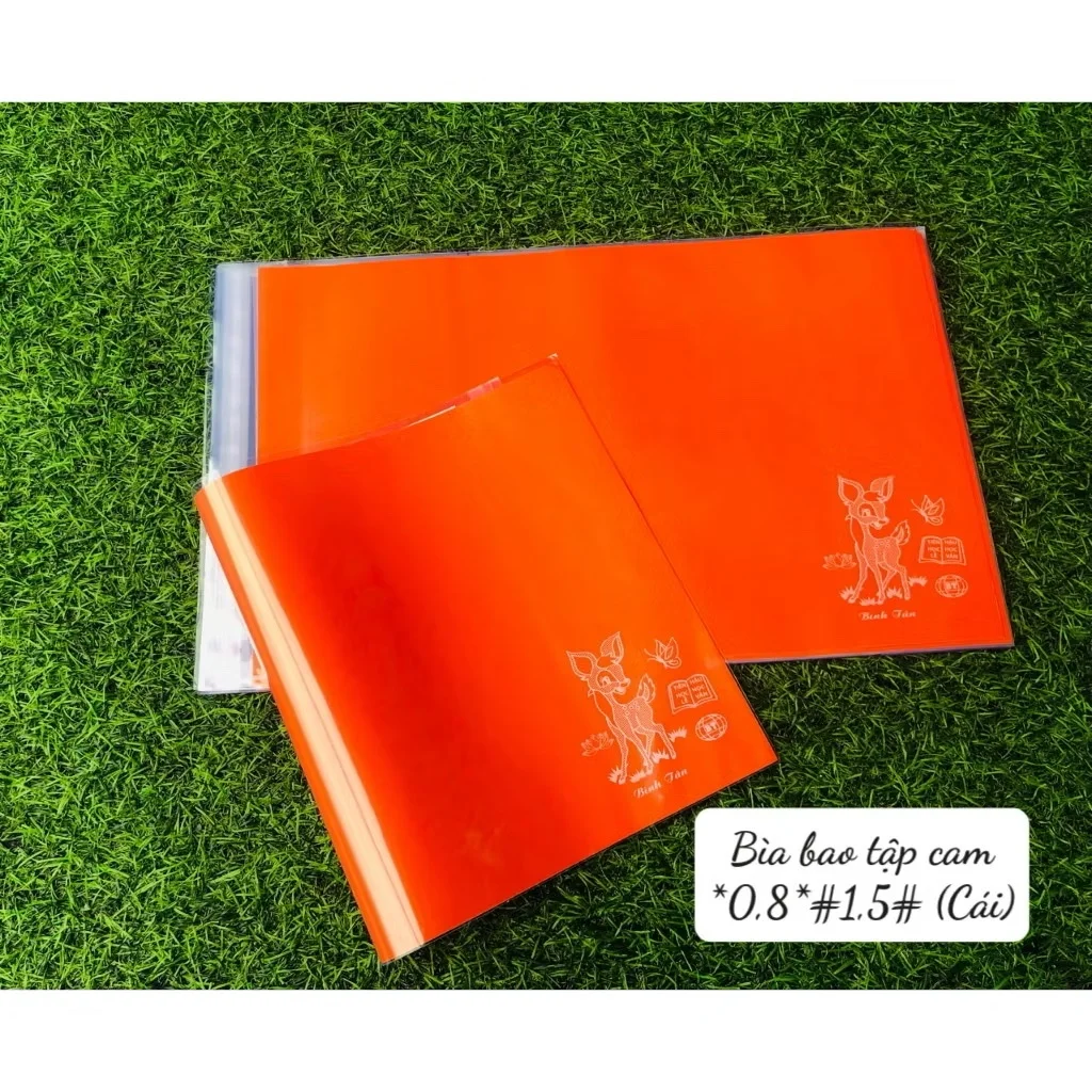 Bìa Bao Tập Vở Học Sinh Khổ 20.5cm (Bìa Kiếng Trong Con Nai + Giấy Màu Thủ Công)