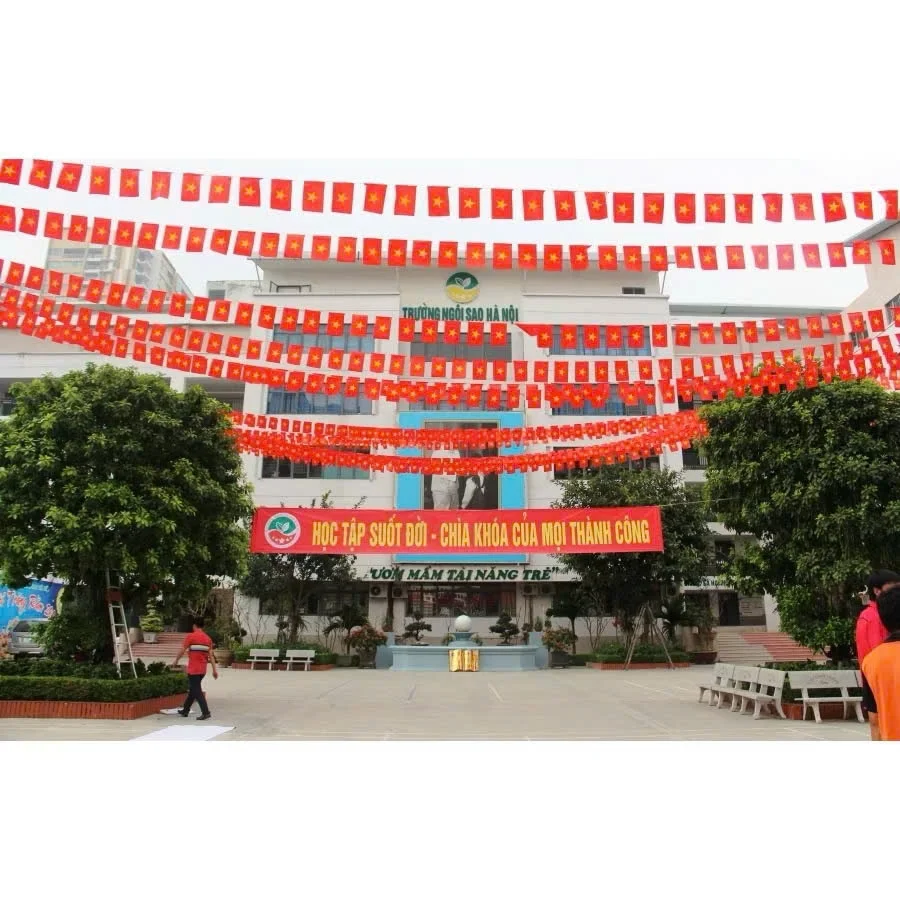 Dây Cờ Đỏ Sao Vàng cờ tổ quốc,cờ đảng,cờ dây Chúc Mừng Năm Mới cờ đuôi nheo tam giác,cờ vẫy cầm tay Vải Lụa