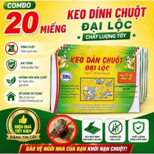 Keo dính chuột khổ lớn hàng thường (có mồi)-miếng dán dính chuột ĐẠI LỘC,miếng bẫy chuột